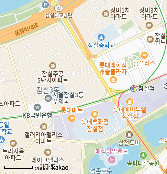 카카오맵