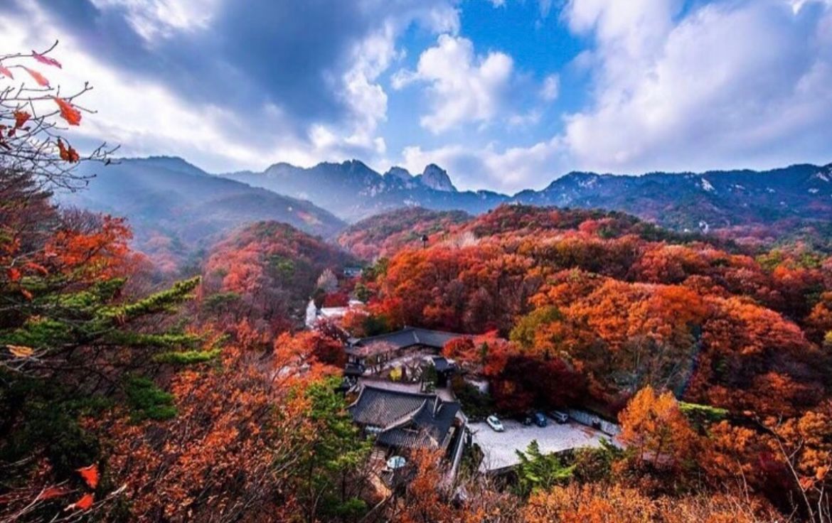 베뉴 이미지